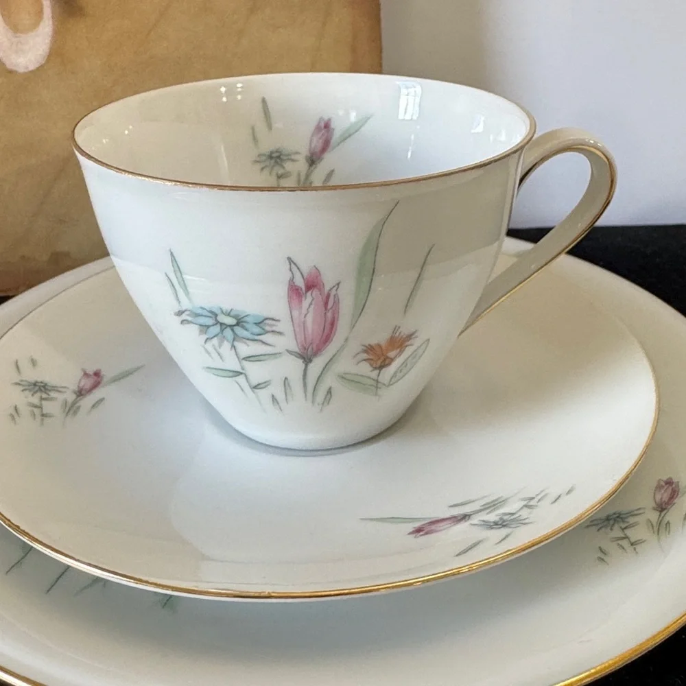 Bavaria Floral Wild Flower Porcelain Tea Cup and saucer Set with desert plate.